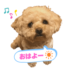 [LINEスタンプ] わがままティーちゃん