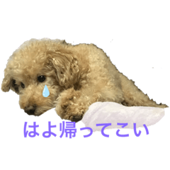 [LINEスタンプ] モコモコですが何か