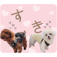 [LINEスタンプ] ぎょくちゃばII