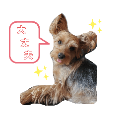 [LINEスタンプ] るると一緒