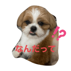 [LINEスタンプ] もぐただよ