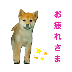 [LINEスタンプ] クリちゃん☆2