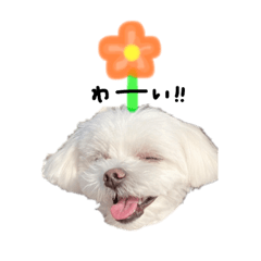 [LINEスタンプ] あくびのきもち