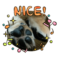 [LINEスタンプ] はしもっちゃんスタンプ