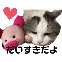 [LINEスタンプ] ひろし♥️ジャッキー