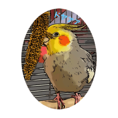 [LINEスタンプ] オカメインコのカルムとアリア