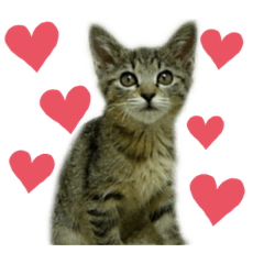 [LINEスタンプ] ラムモカ仲良し