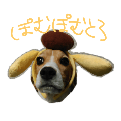[LINEスタンプ] かわいいとろさん2