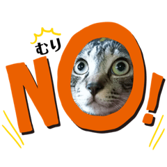 [LINEスタンプ] 猫ちゃん ウーパールーパー
