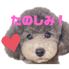 [LINEスタンプ] もじゃもじゃの天使さま