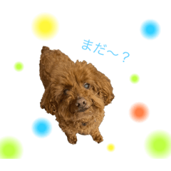[LINEスタンプ] メロンのきもち1