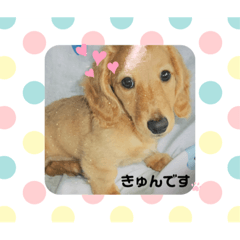 [LINEスタンプ] るいたん❤