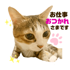 [LINEスタンプ] ねねちゃん♡の日常