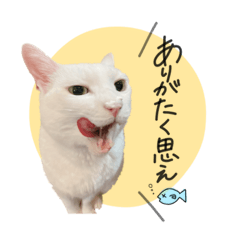 [LINEスタンプ] ひなたとなかま達