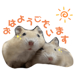 [LINEスタンプ] 日常で使える！ぐり＆ぐら スタンプ！