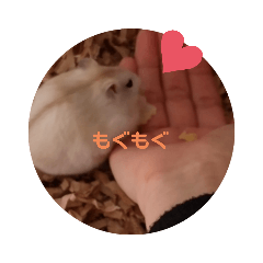 [LINEスタンプ] むちむち！はむち