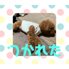 [LINEスタンプ] 9.もこ