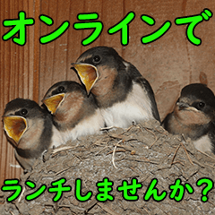 [LINEスタンプ] JW 癒されスタンプ 「野鳥 蝶 海 自然編」