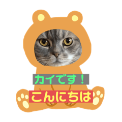 [LINEスタンプ] カイくんです！