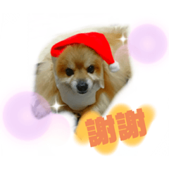 [LINEスタンプ] ryu.kohaku.kairyu