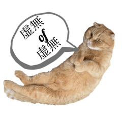 [LINEスタンプ] やる気なし猫スタンプ