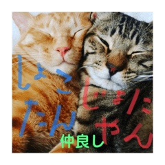[LINEスタンプ] Johnny ＆ Chocola ❶