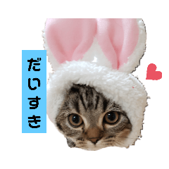 [LINEスタンプ] にゃんらいふ(マンチカン)