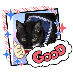 [LINEスタンプ] しんちゃこ2