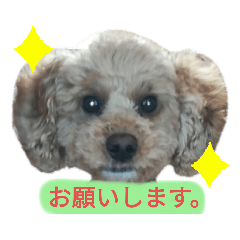 [LINEスタンプ] たむととの1日。