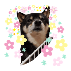 [LINEスタンプ] はなちゃんと過ごす1日