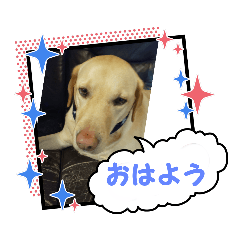[LINEスタンプ] ジュラスタンプJU