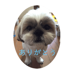 [LINEスタンプ] 春くんの仲間たち