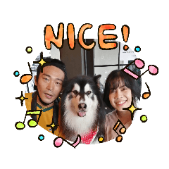 [LINEスタンプ] Pom＆Tofu's daily life