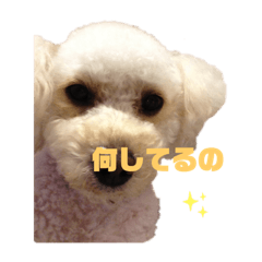 [LINEスタンプ] 日常きなくる