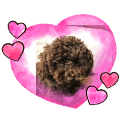 [LINEスタンプ] ボビー^_^