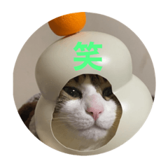[LINEスタンプ] ドS猫の球太2