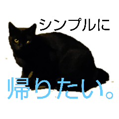 [LINEスタンプ] 日常の事1