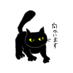 [LINEスタンプ] 黒猫まみれ