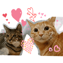 [LINEスタンプ] Johnny ＆ Chocola ❷