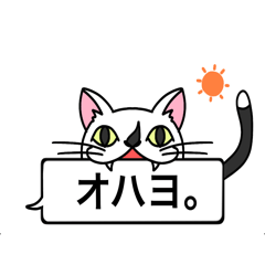 [LINEスタンプ] 猫のサダハルの日常で使えるスタンプ