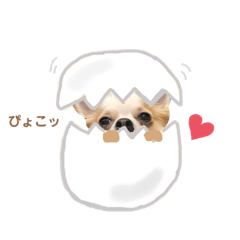 [LINEスタンプ] どうも、れおとびびです