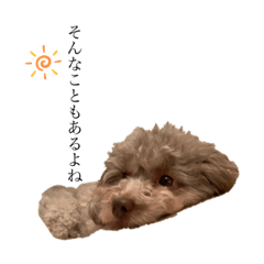 [LINEスタンプ] こまちですけども。