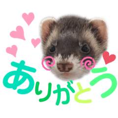 [LINEスタンプ] ヒナタのあいさつ