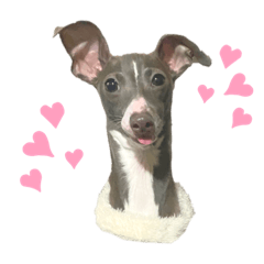 [LINEスタンプ] かづか