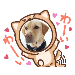 [LINEスタンプ] ジュラジュララリ～