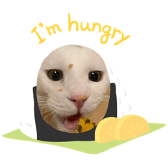 [LINEスタンプ] うゆすた