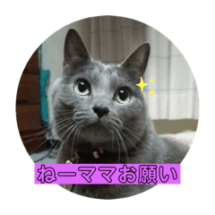 [LINEスタンプ] はじめましてココアです