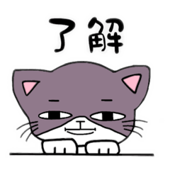 [LINEスタンプ] ダル猫 ちー ～よく使う～