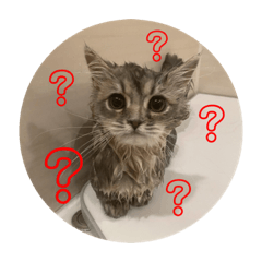 [LINEスタンプ] ナパルスタャンプ