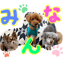 [LINEスタンプ] 川村家の犬たち